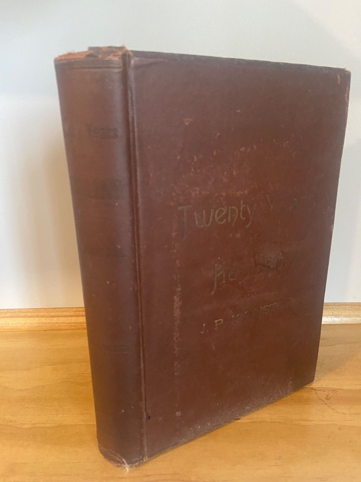1888 Twenty Years of Husling J.P. Johnston 1st Ed W.W. Denslow Illustrated