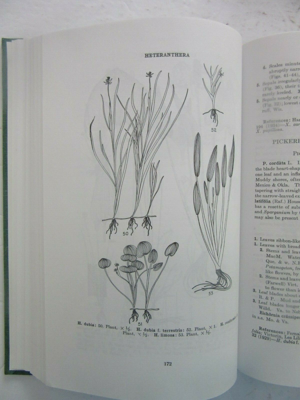 A Manual of Aquatic Plants by Norman C. Fassett 1985 edition
