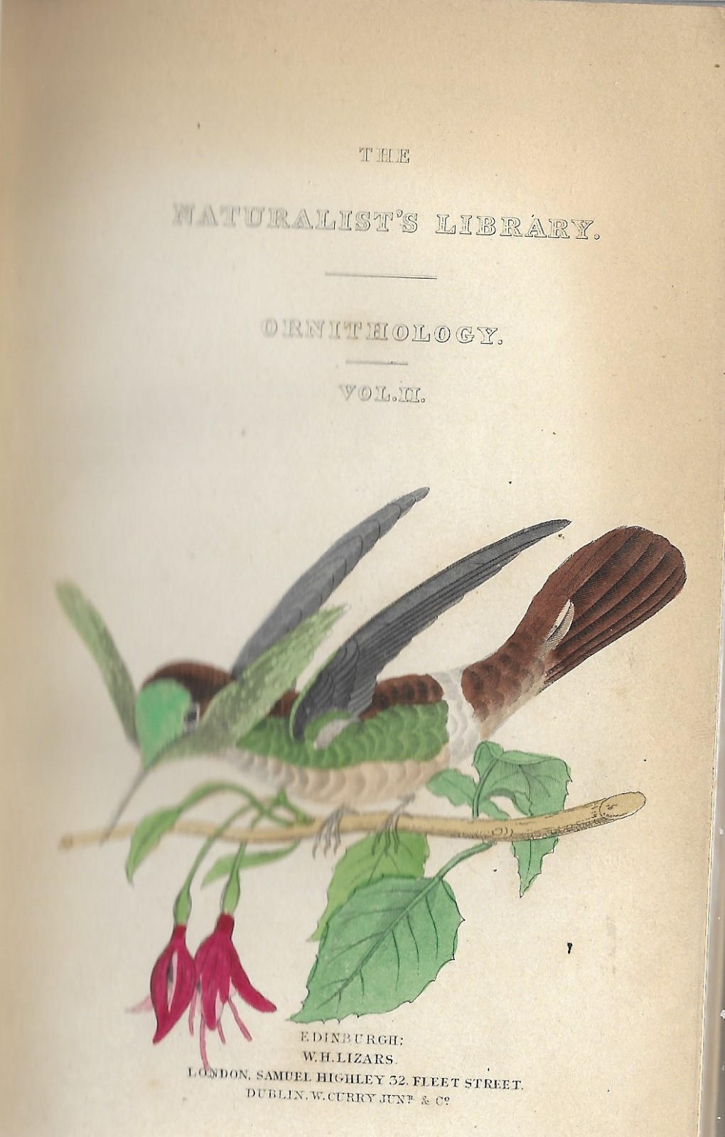 Jardine’s Naturalist’s Library Humming Birds: A truly unique pair of volumes