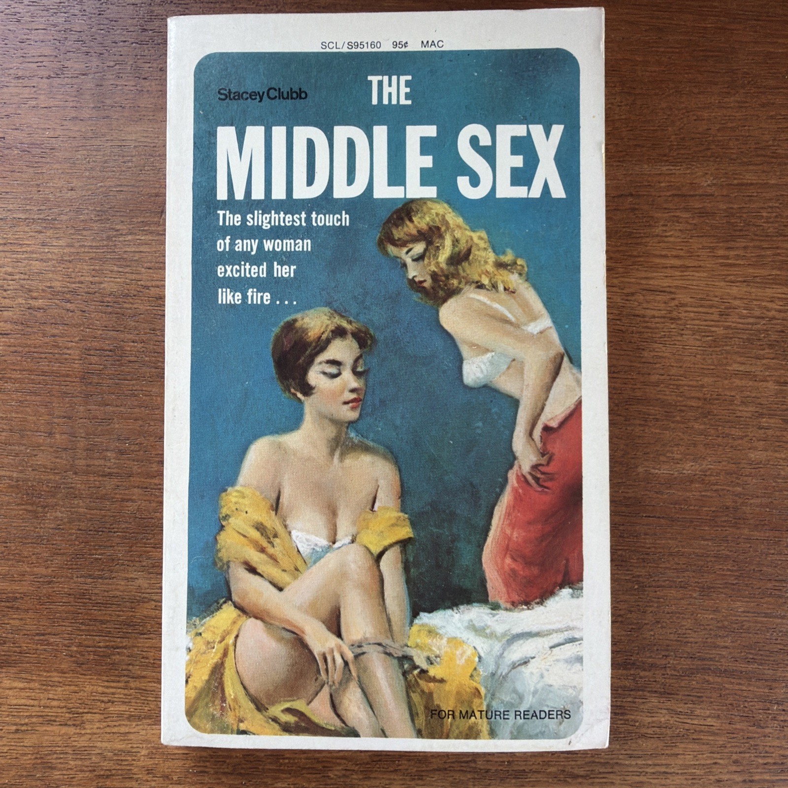 The Middle Sex Stacey Clubb 1970 Vintage LGBT Pulp Paperback