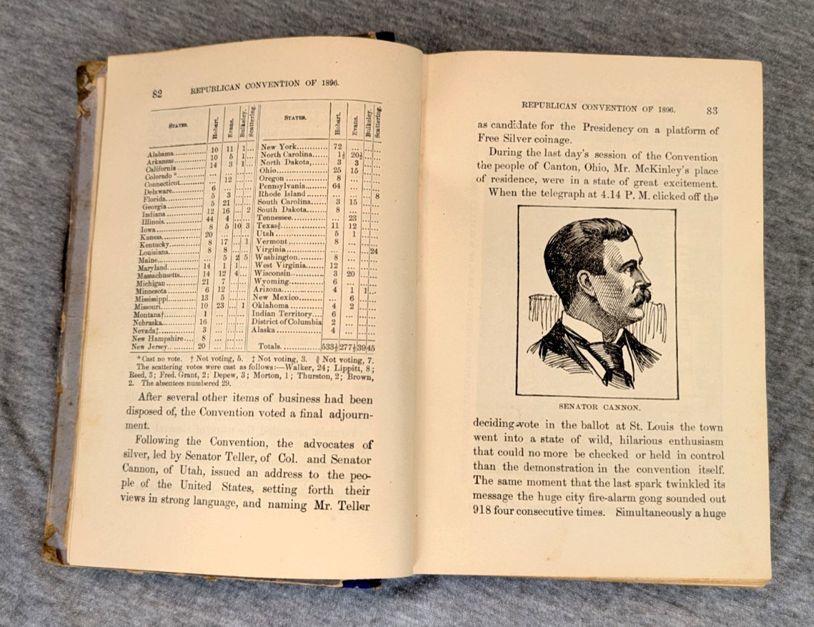 1896 The Great Campaign Political Srtuggles Voter Guide Presidential Election