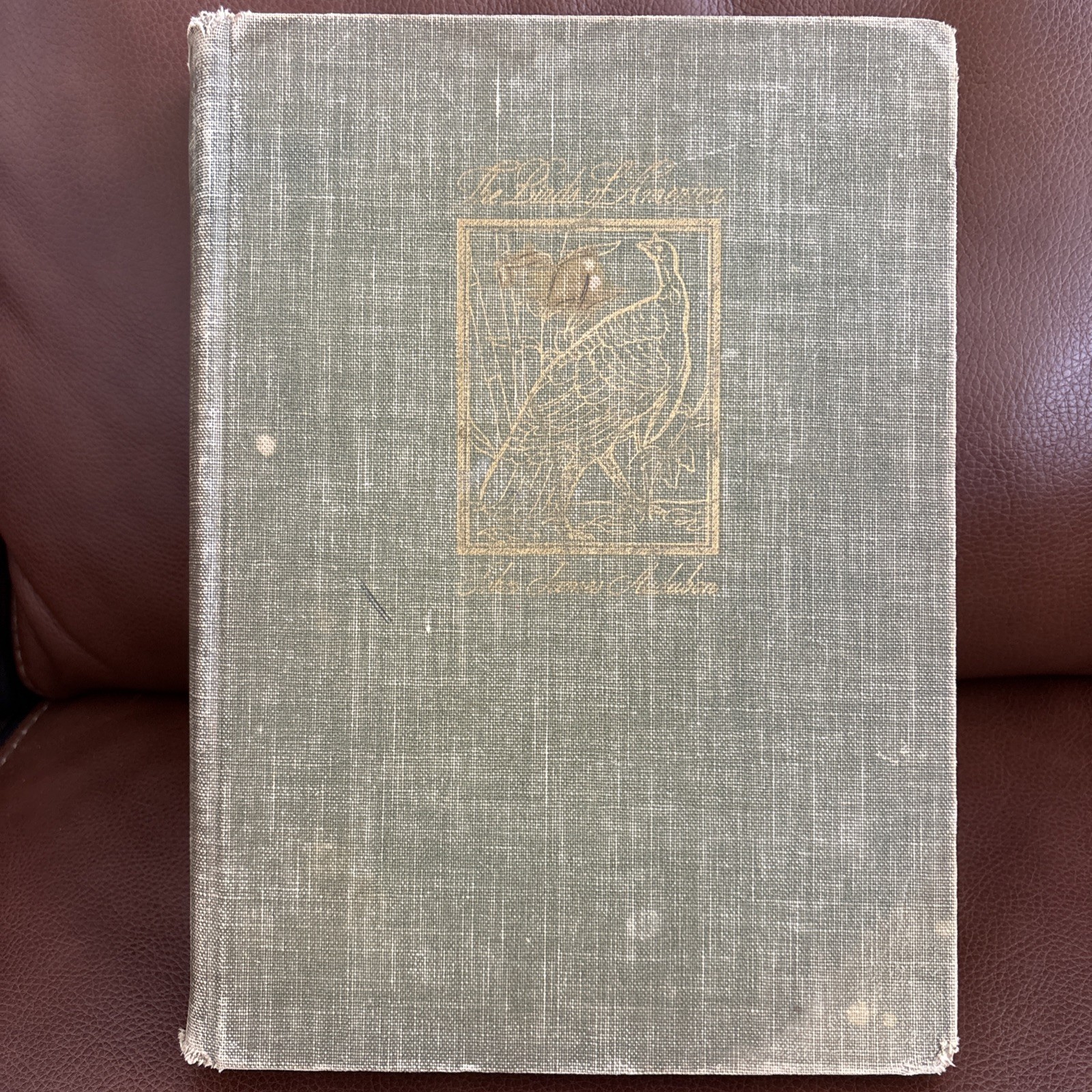 Birds of America John J Audubon 1st Edition 1937, Macmillan Company 500 Prints