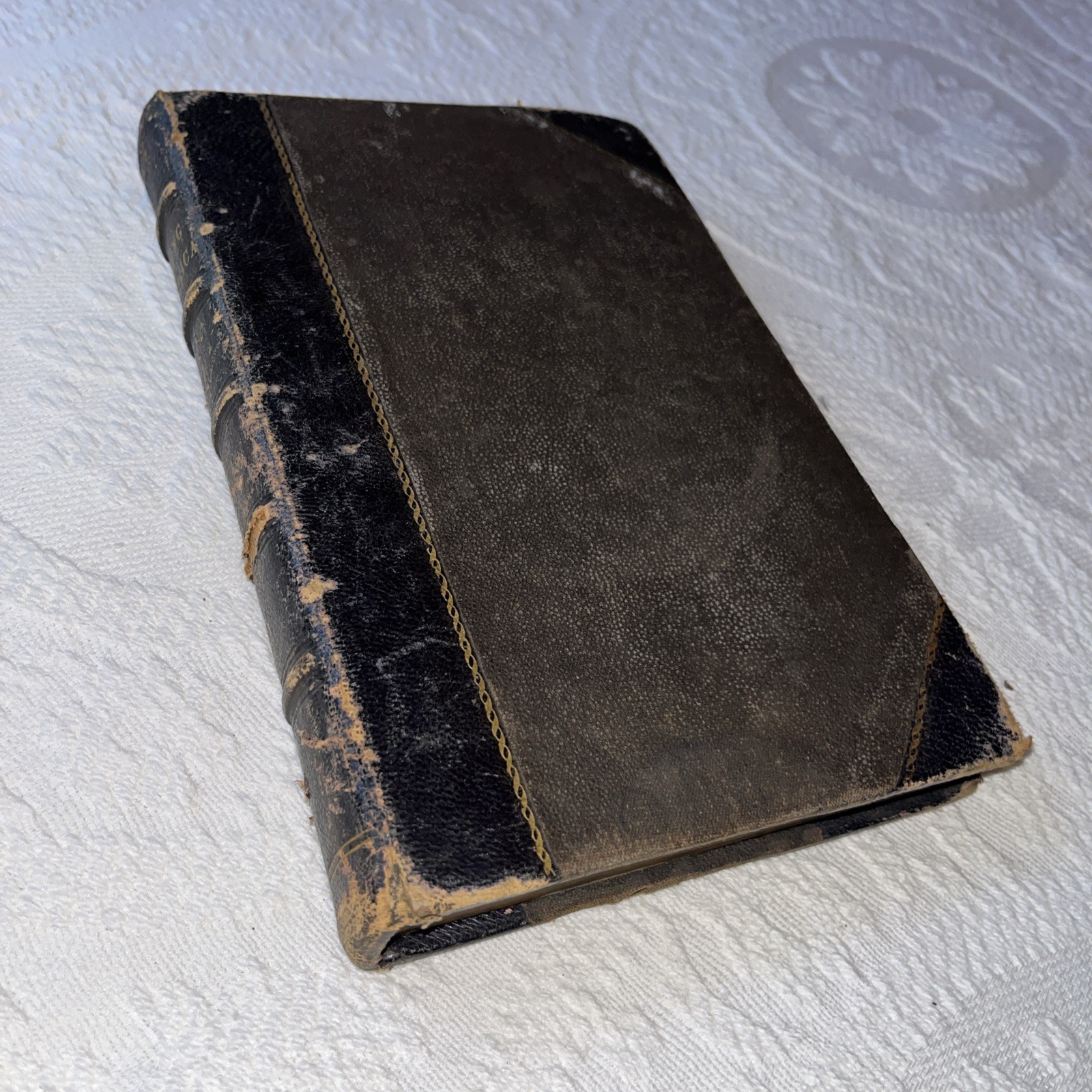 Demorest’s Young American 1873 Volume 7