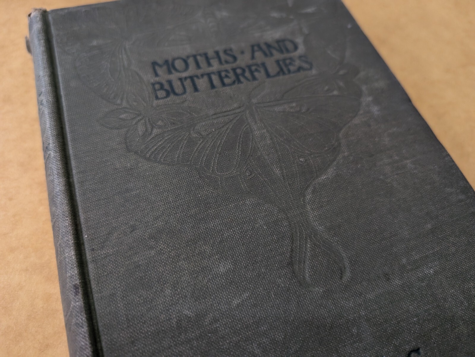 Antique Book Moths and Butterflies By Mary C. Dickerson – Illustrated (C. 1901)