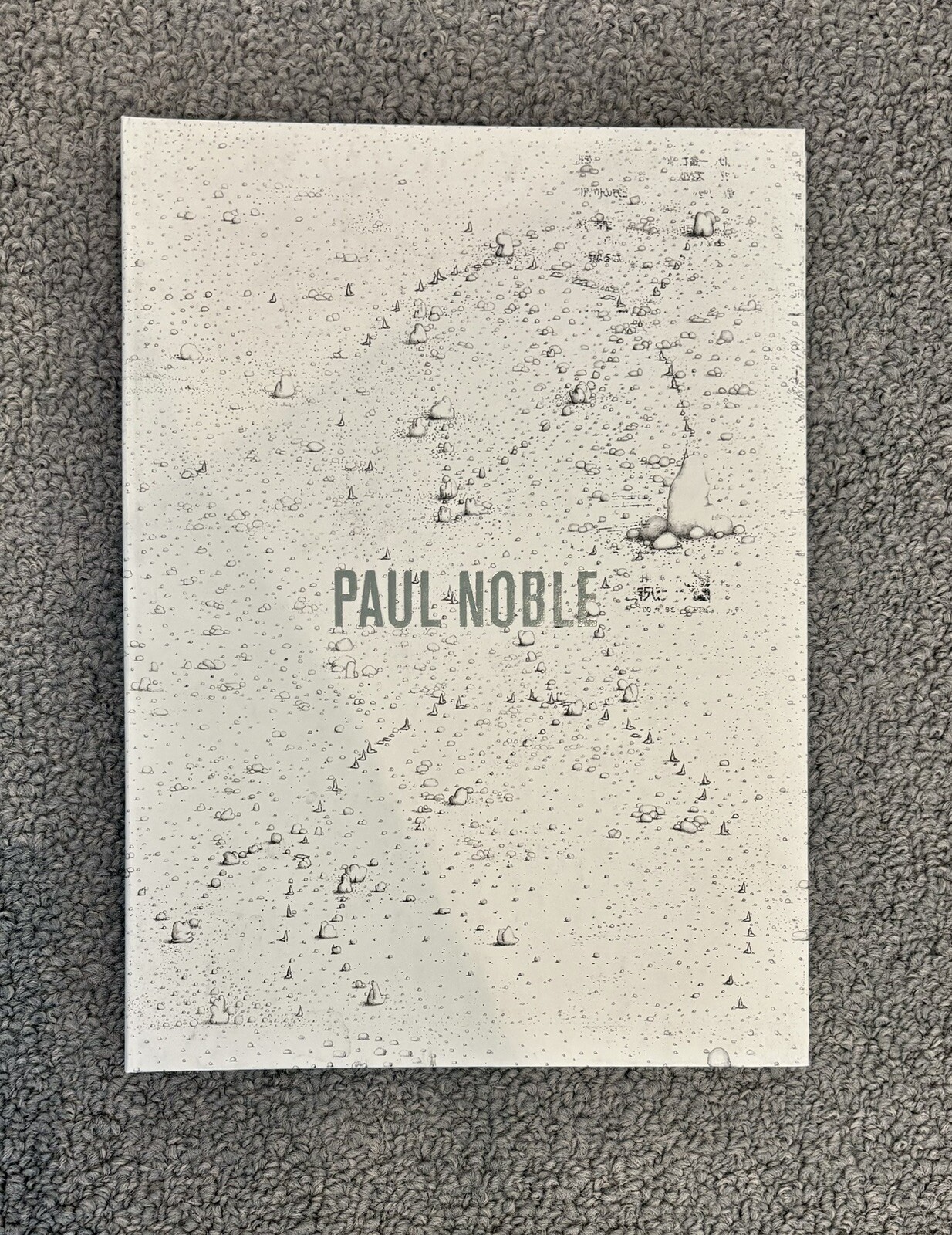 Paul Noble Gagosian Gallery Rare Art Book