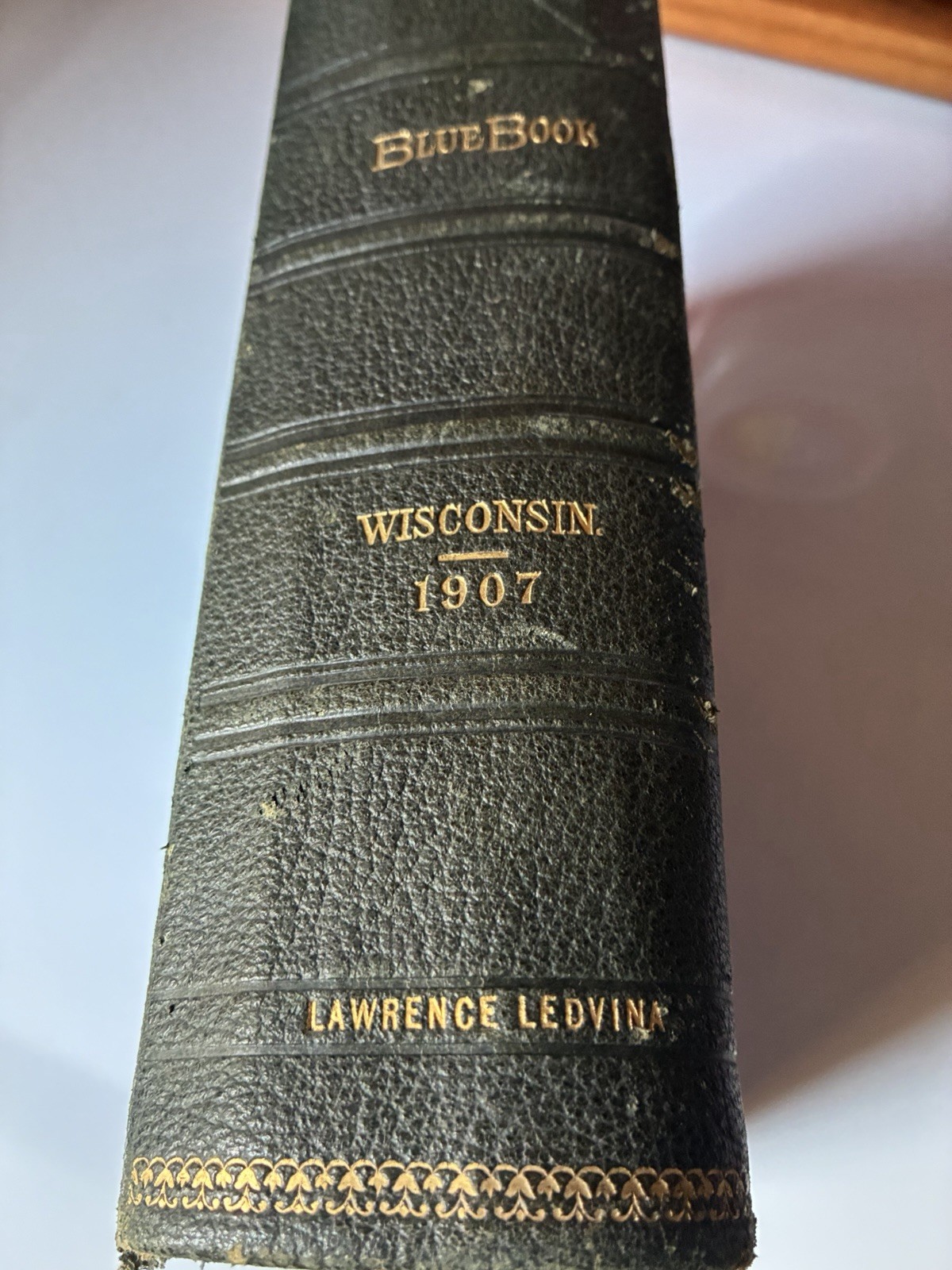 1907 Wisconsin Blue Book. Town Of Franklin, Manitowoc County. Lawrence Ledvina