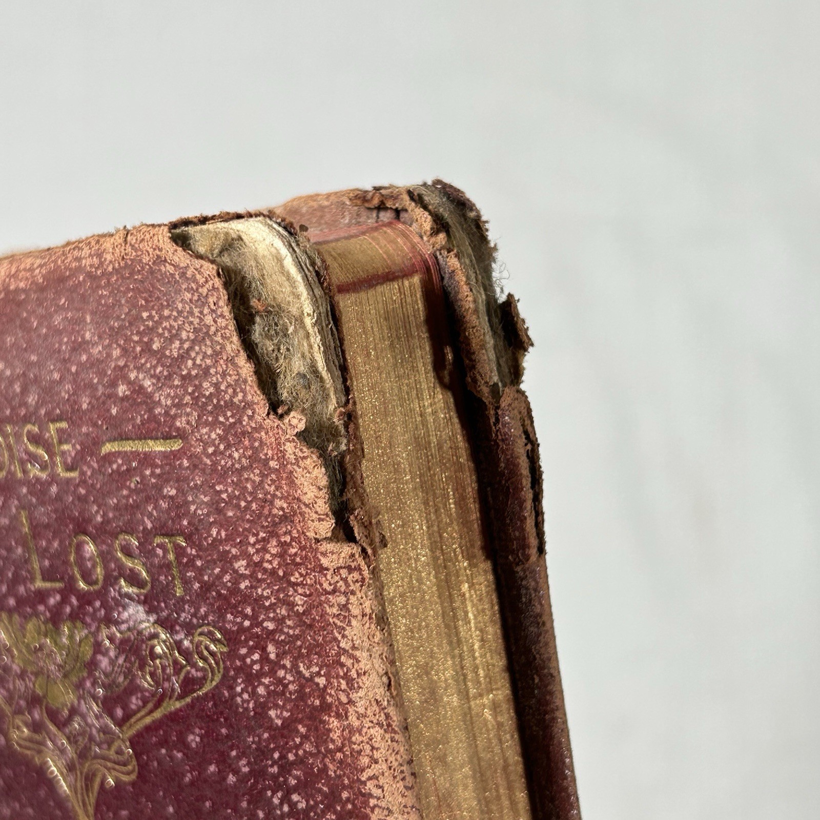 Paradise Lost by John Milton, Chicago M. A. Donohue & Co Antique Red Leather