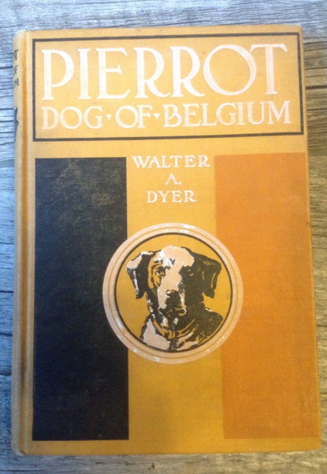 PIERROT DOG OF BELGIUM WALTER A. DYER GORDON GRANT 1926 ILLUSTRATED