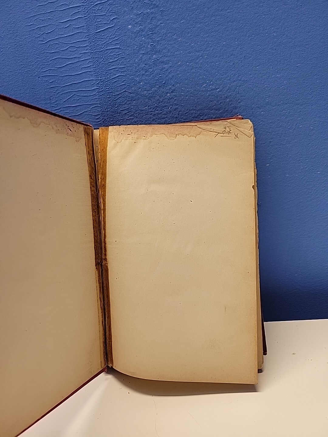 A Perpetual Calendar : With Notes and Explanations L. S. F. Pinaud – 1896