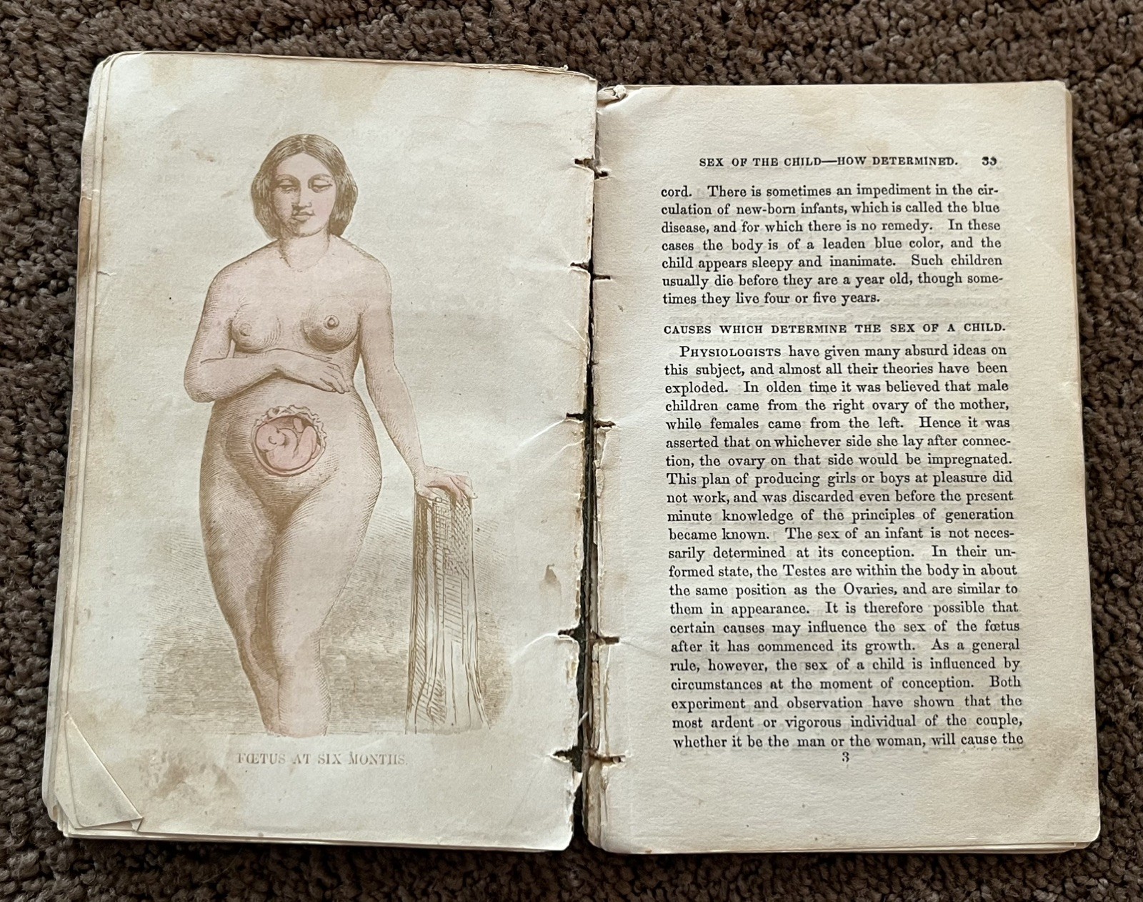 Antique 1859 Book of Nature Women Philosphy Procreation & Sexual Intercourse