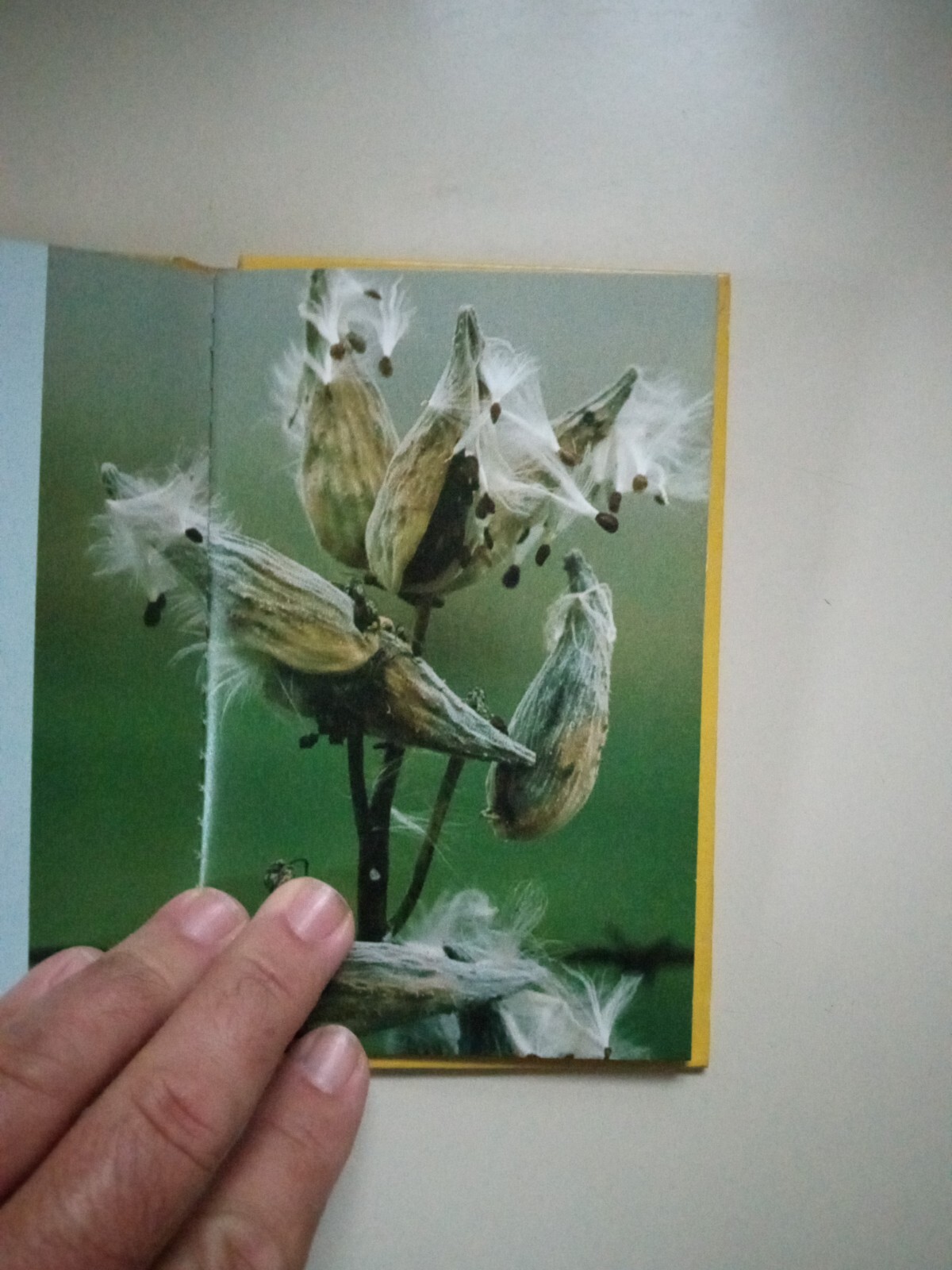 Some Special Thoughts To Keep You Company Hardcover Treasury Of Thoughts