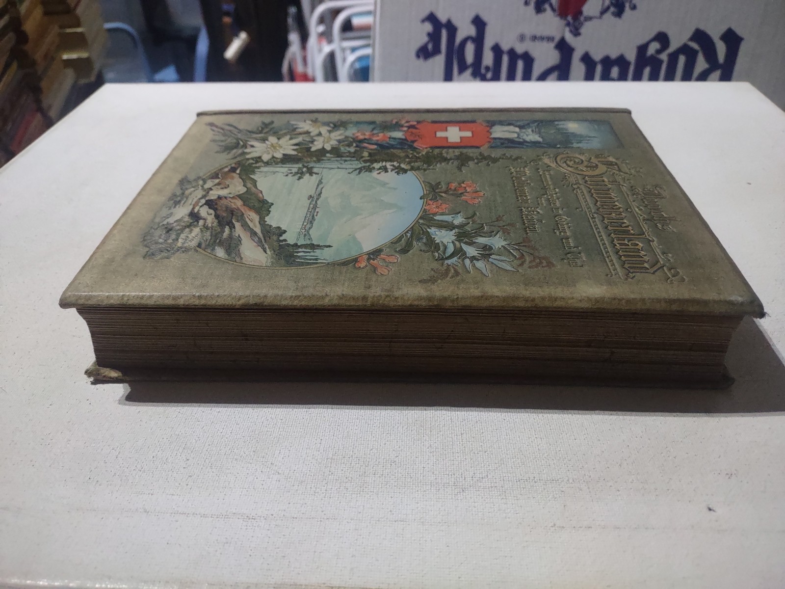 1895 DURCHS SCHWEIZERLAND GERMAN LANGUAGE HC BOOK BY WOLDEMAR KADEN SWITZERLAND