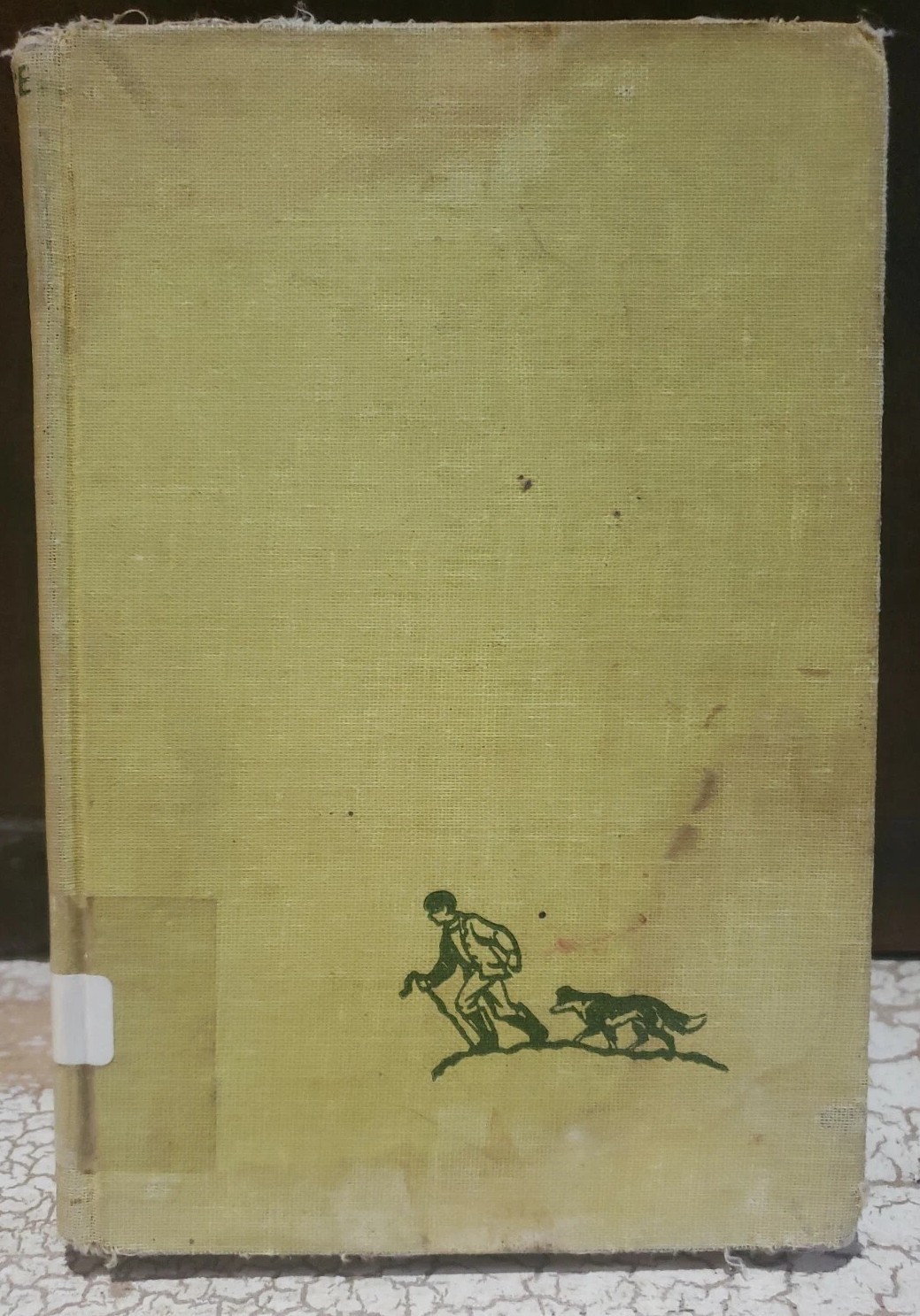 DAVID AND THE MOUNTAIN Illustrated Christine Price HARDCOVER 1959 1st EDITION