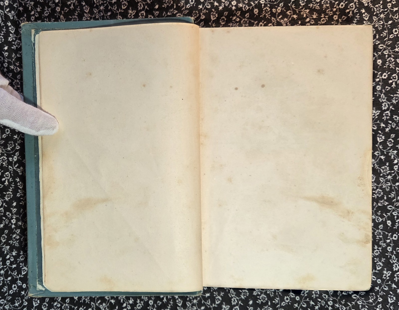 Walks With Jesus Or Days Of The Son Of Man By Daniel March, 1889, HC