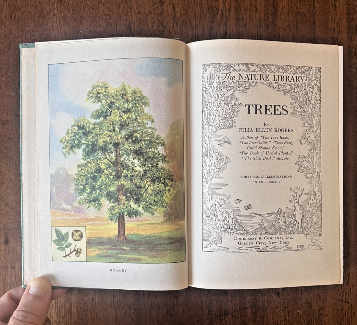 THE NATURE LIBRARY TREES Julia Ellen Rogers 1926 Illustrated HC