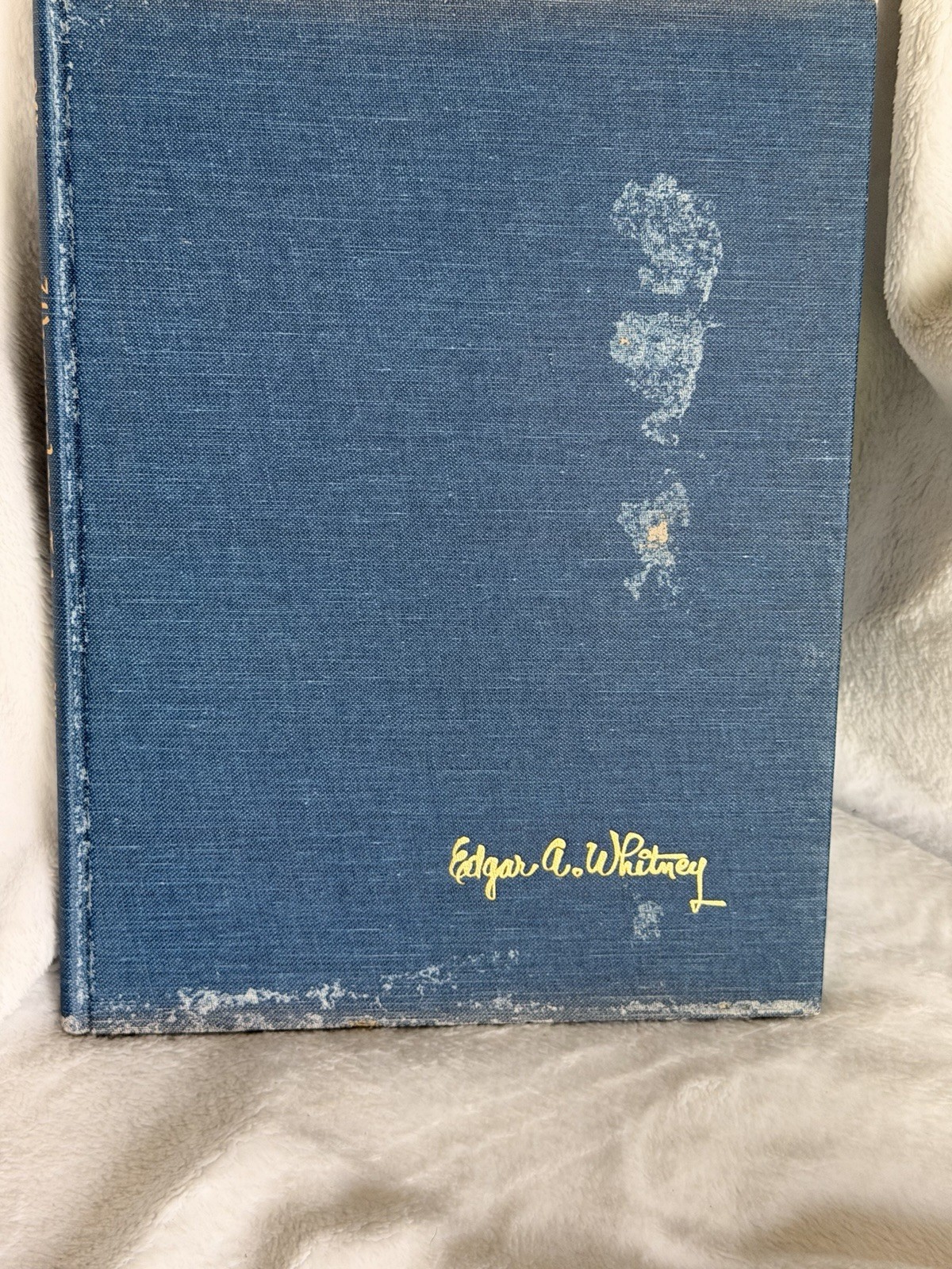 Watercolor The Hows and Whys Edgar A Whitney 1958 First Edition Art Book Vintage