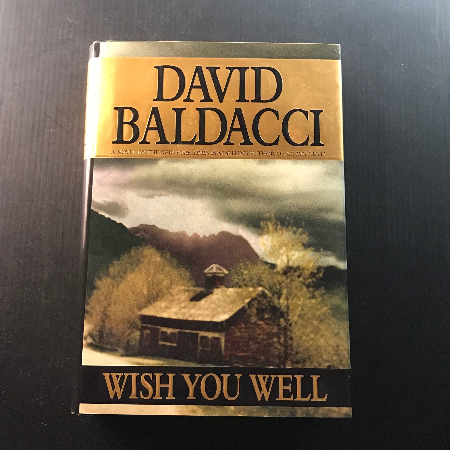 Wish You Well David Baldacci 1st Printing 2000 Hardcover Dust Jacket Novel