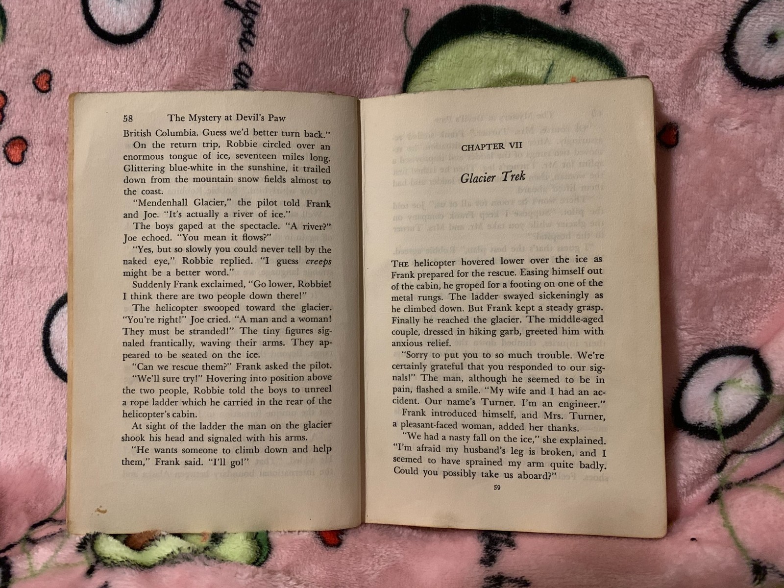 First Edition 1959 HARDY BOYS #38 „The Mystery at Devil’s Paw“ w/Dust Jacket