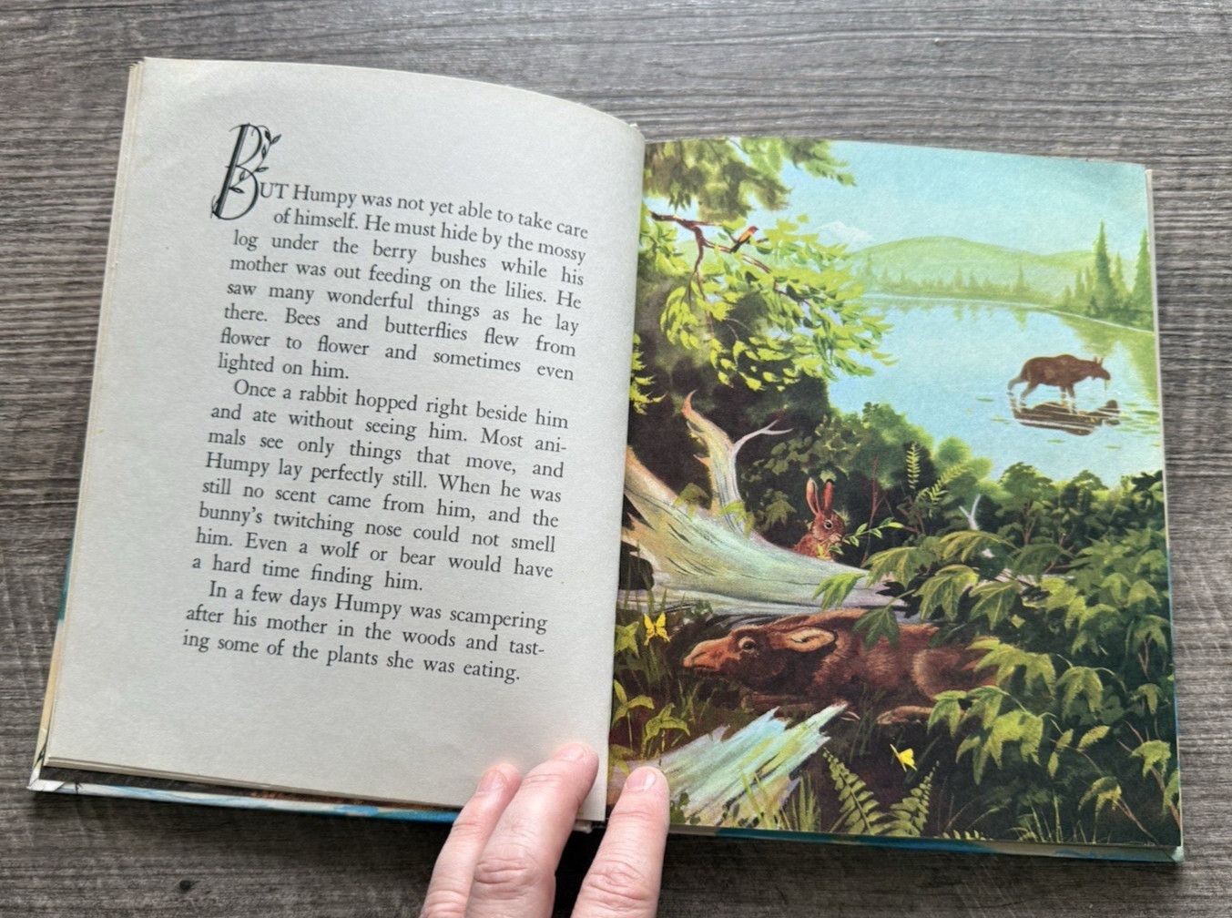 HUMPY THE MOOSE Harry J Baerg 1963 Childrens Book Hardcover Review and Herald