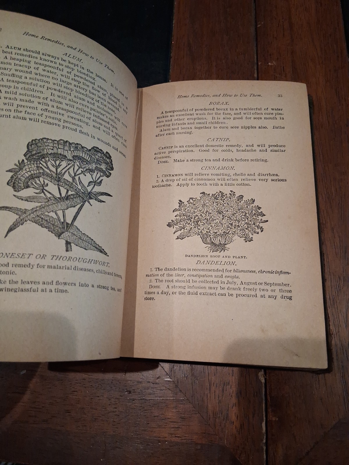 RARE Home Remedies for Man and Beast Jefferis & Davis 1893 Household Guide