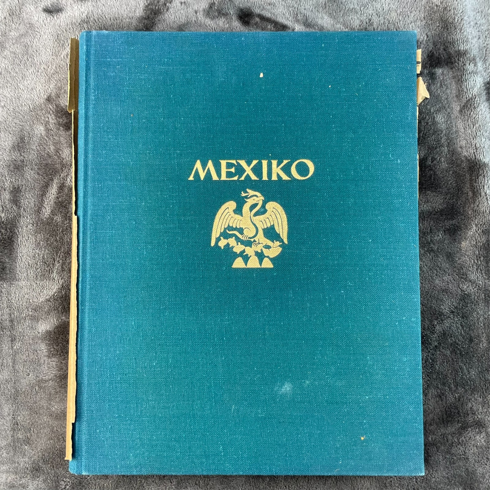 Picturesque Mexico Hugo Brehme Photography Walther Staub Berlin 1925 GERMAN