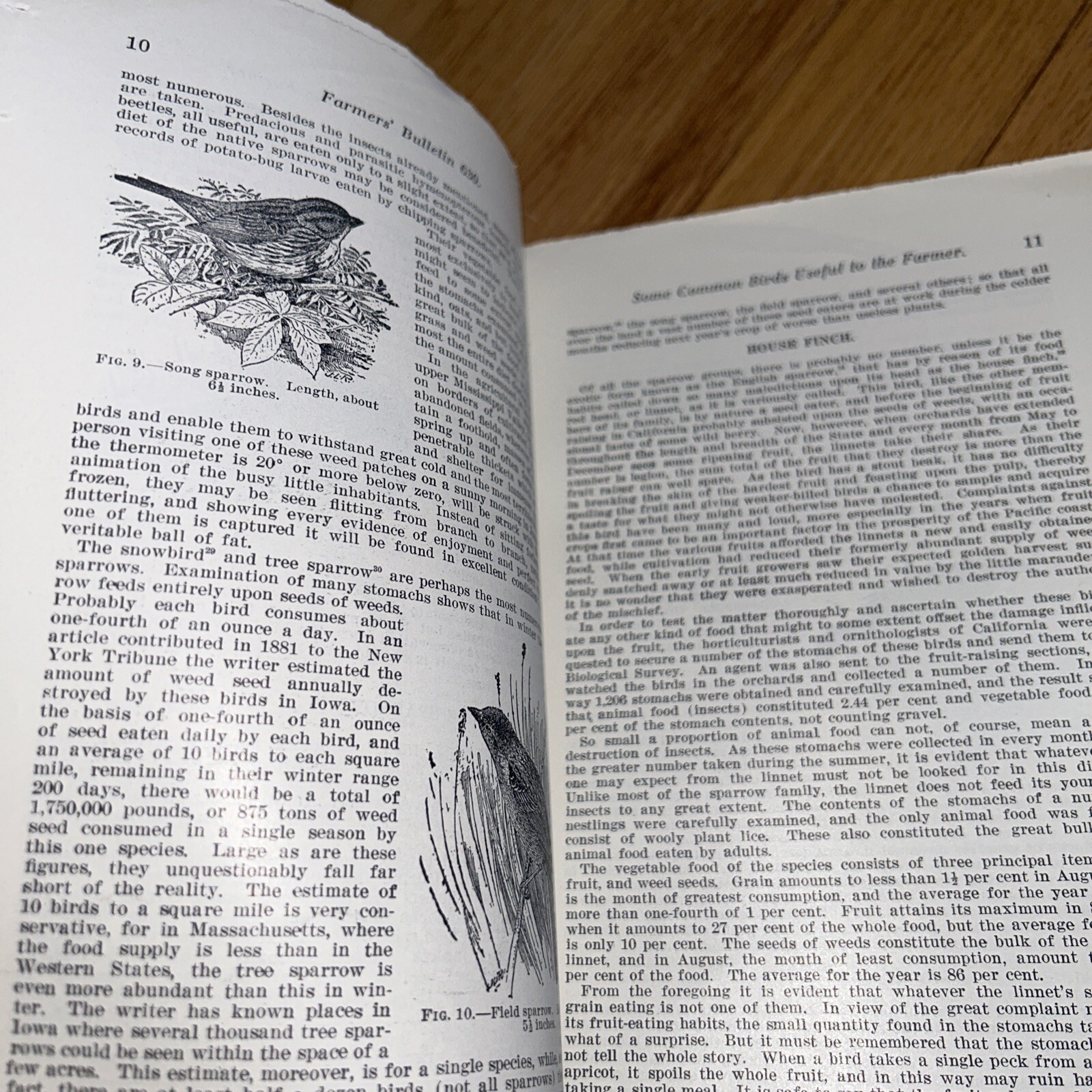 2 USDA Books COMMON USEFUL BIRDS / GAME AQUATIC & RAPACIOUS BIRDS 1926 / 1924