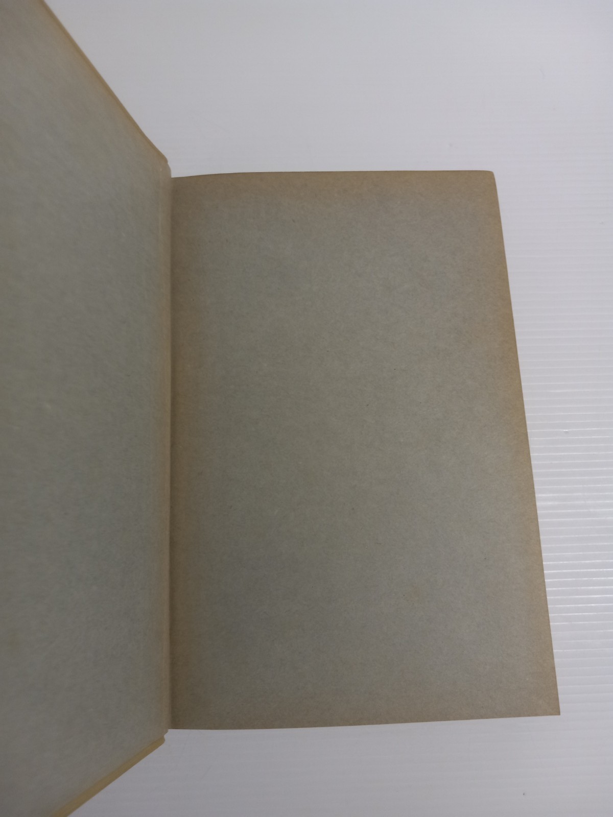 Wood and Forest by William Noyes Educational Vtg 1912 HC Vtg Manual Arts Press