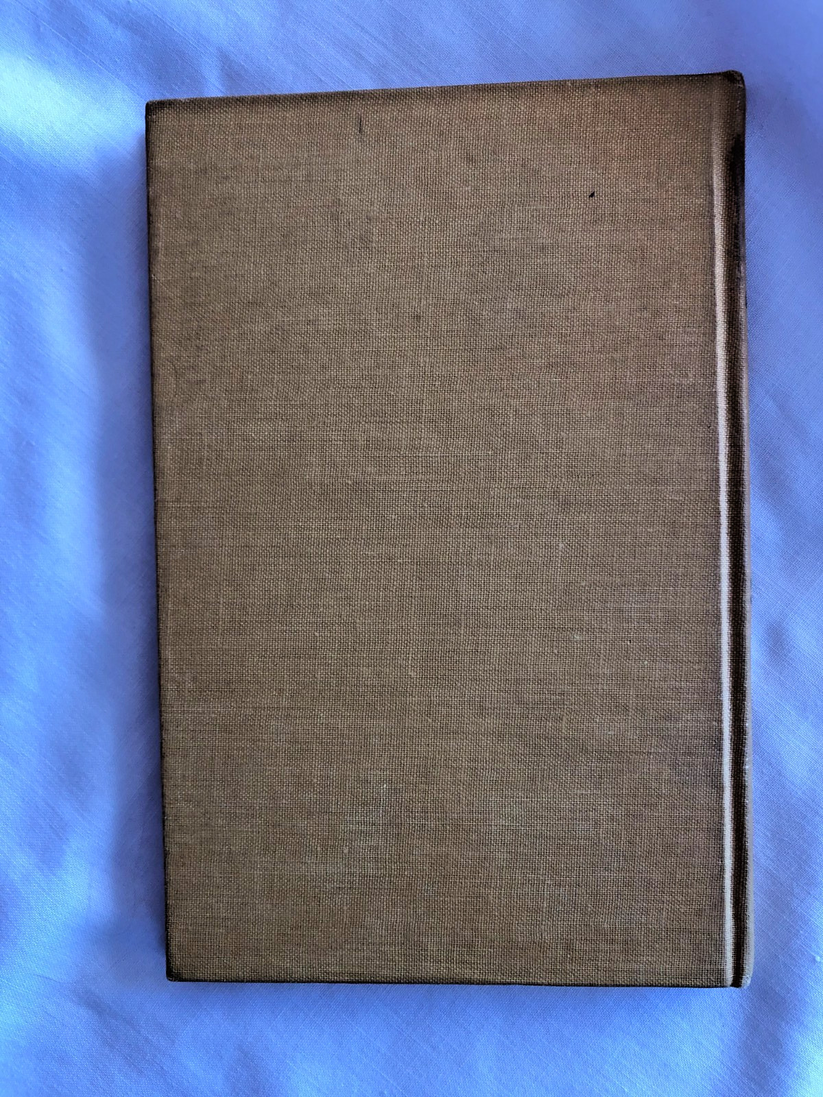 The Birds‘ Christmas Carol by Kate Douglas Wiggin Vintage 1916 ILLUS. HB