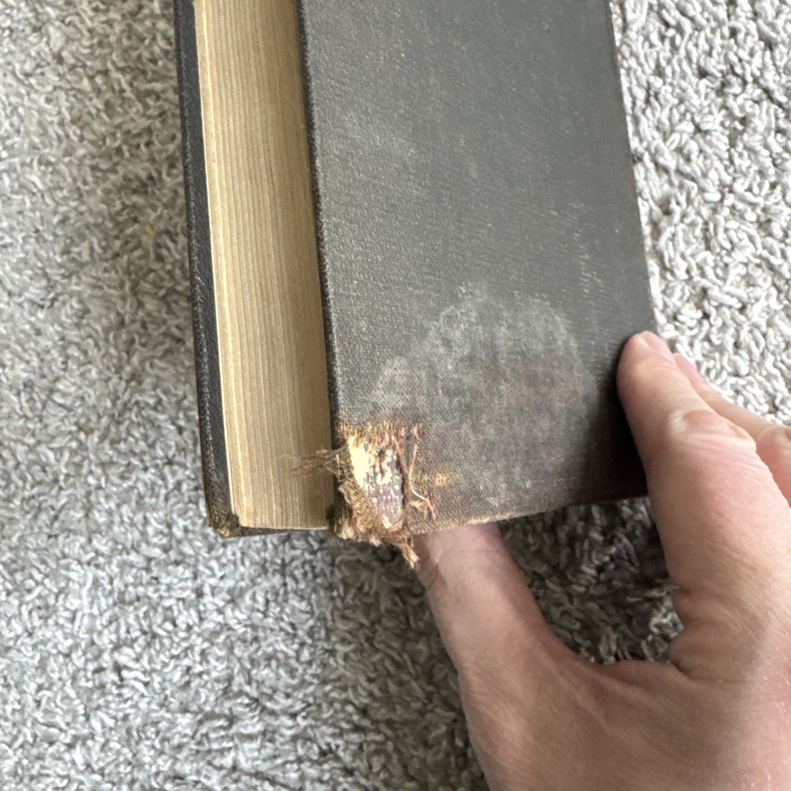 1928 Book of Mormon Hard Cover March Edition Latter Day Saints