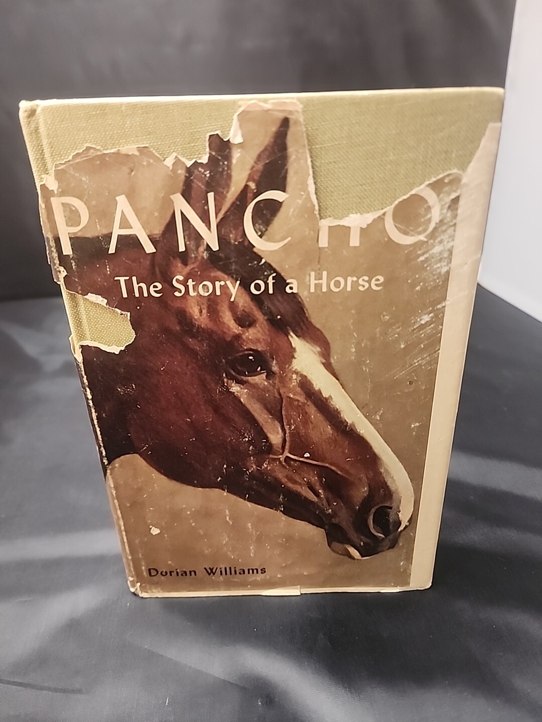 1967 Pancho The Story Of A Horse By Dorian Williams (Hardcover)