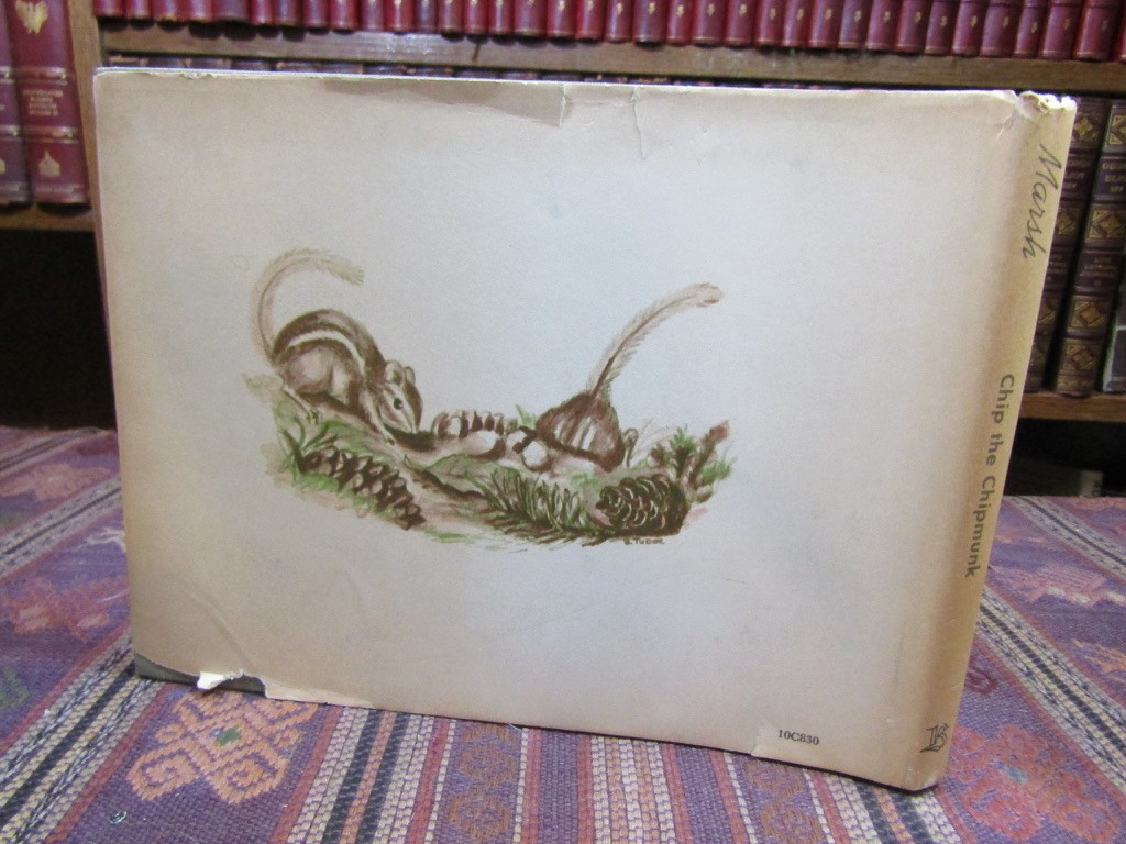 1962 Marsh CHIP THE CHIPMUNK Rare SIGNED 1st Ed. HC/DJ Illustrated Bethany Tudor