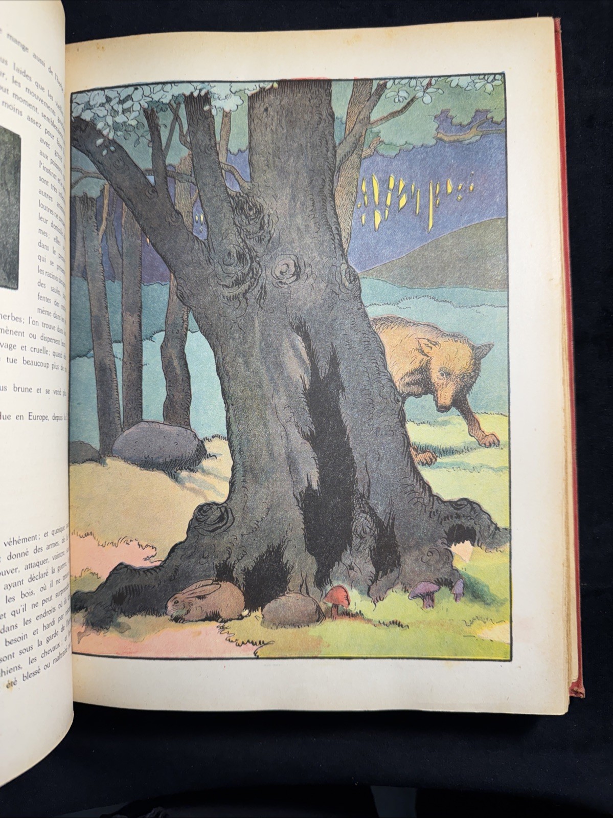 Vintage Hardcover Le Buffon Choisi Benjamin 1924 French Book Paris