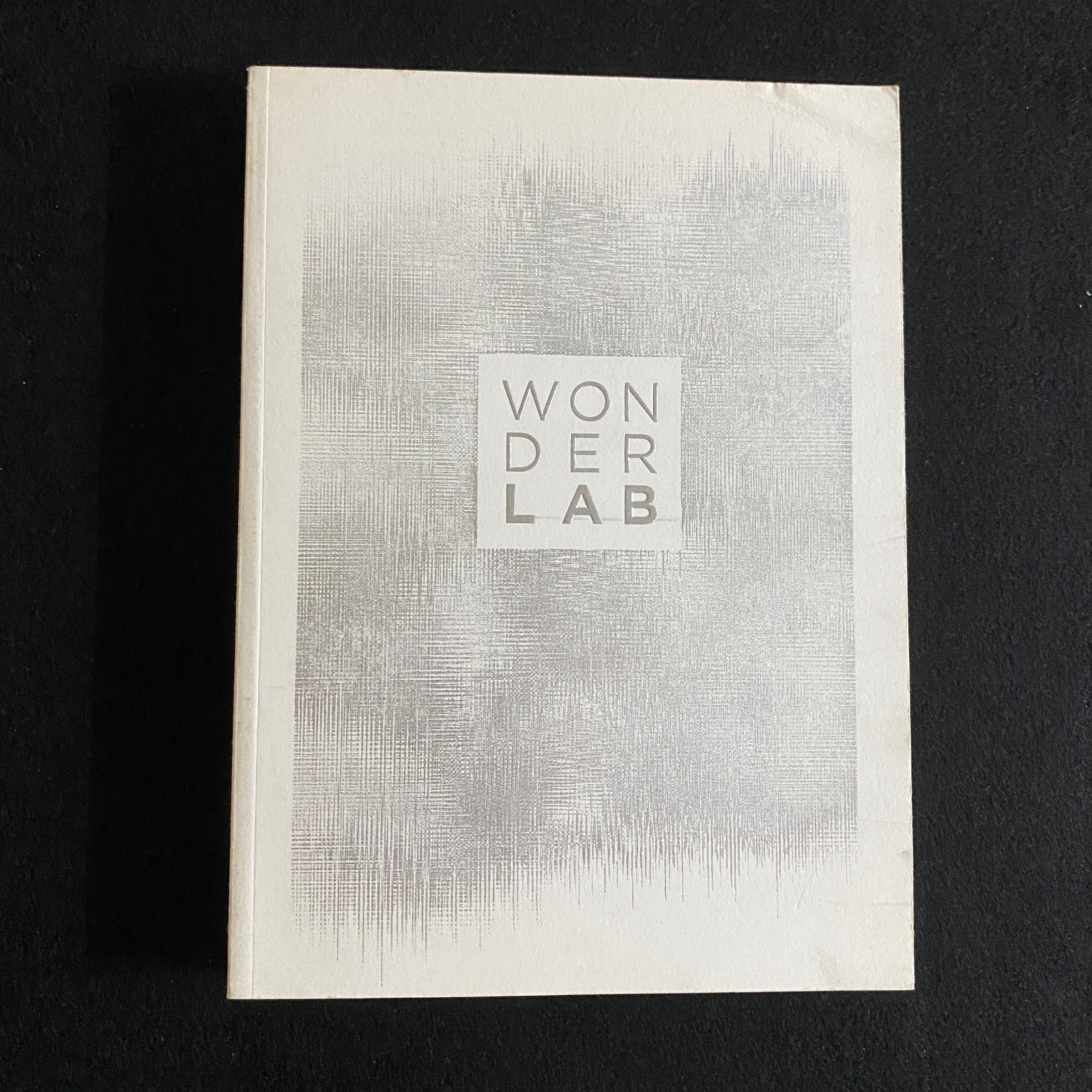 WONDER LAB French Folk Crafts Exhibition Catalog 2017 Design Art Book