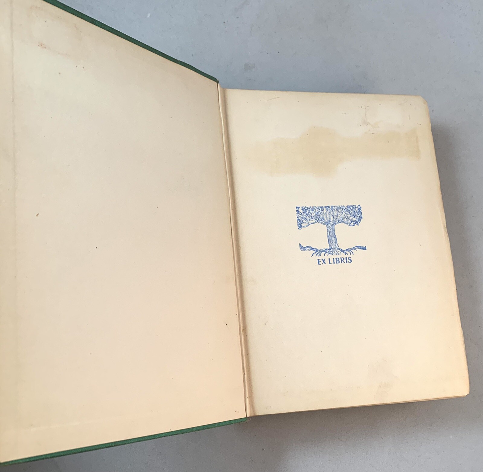 Sand-Will James-TRUE First Edition/1st Printing!-ALL Points Present!-1929!-RARE!