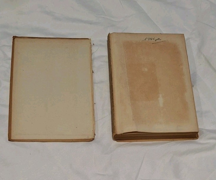 Antique Book, The Economic Consequences Of The Peace, 1920, John Maynard Keynes
