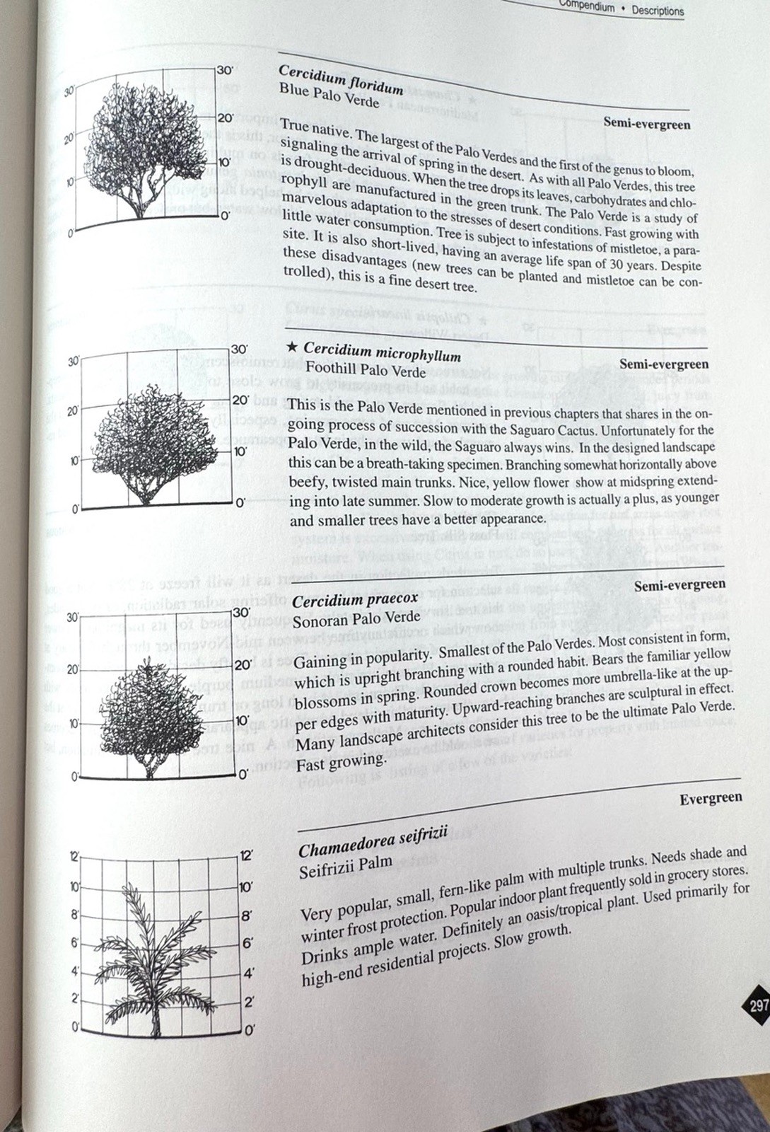 Desert Landscape Architecture John Krieg 1999 Edition Design Plants Lighting VGC