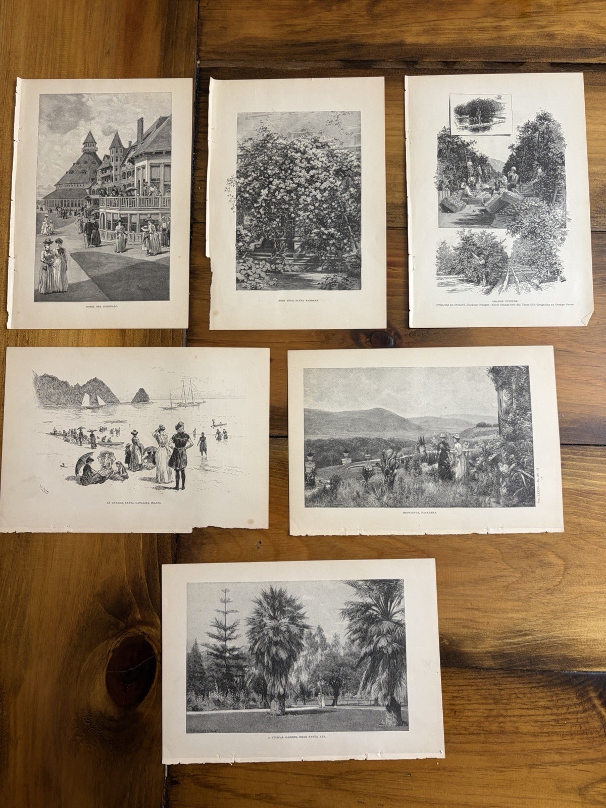 Lot Of (6) Vintage Magazine Prints From 1901, California, 6×9”