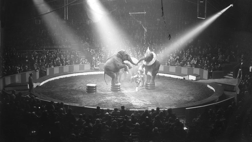American Circus History, Ringling Brothers, Books, Photos, Brochures PDF DVD E65