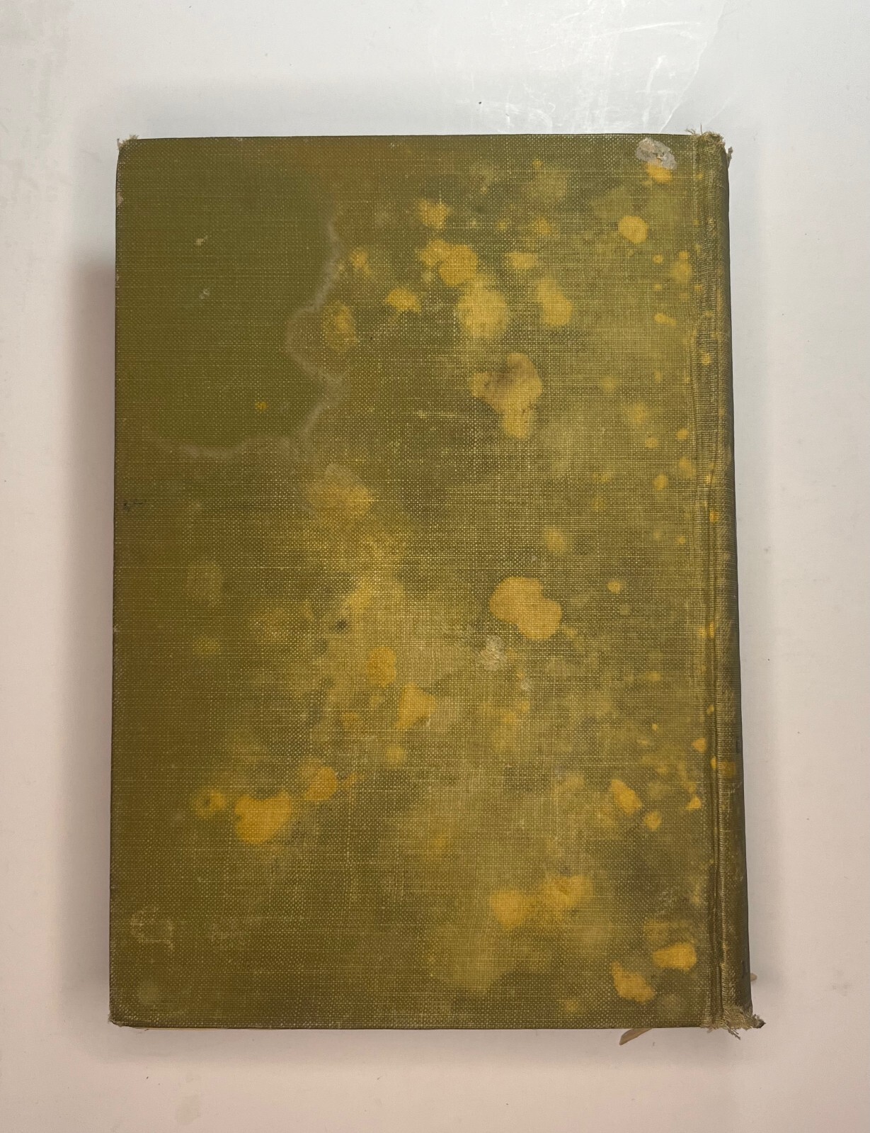 Hurlbut’s Story of the Bible, Rev. Jesse Lyman Hurlbut, 1904, Vintage