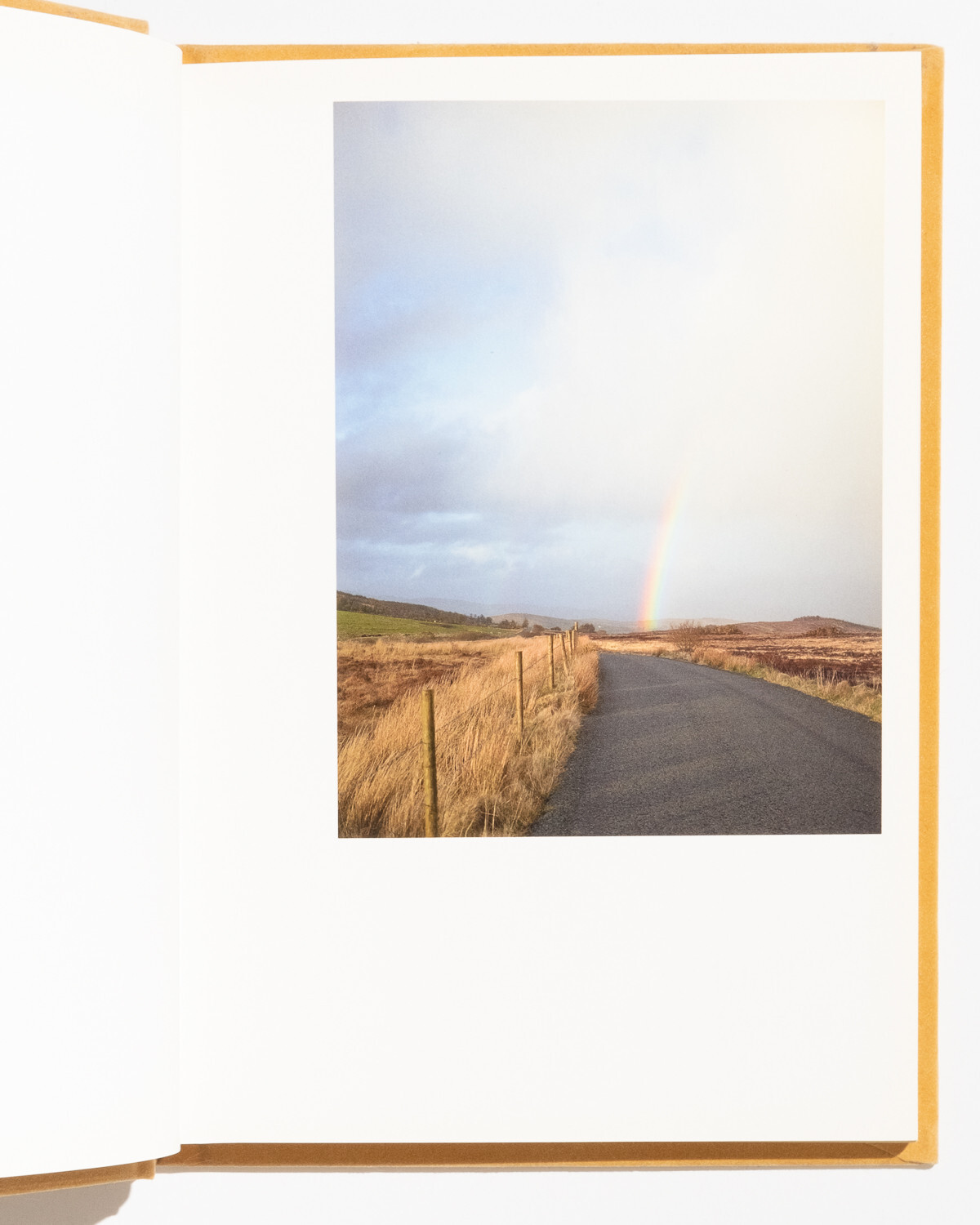 Does Yellow Run Forever? Paul Graham MACK First Edition 2014 RARE OOP