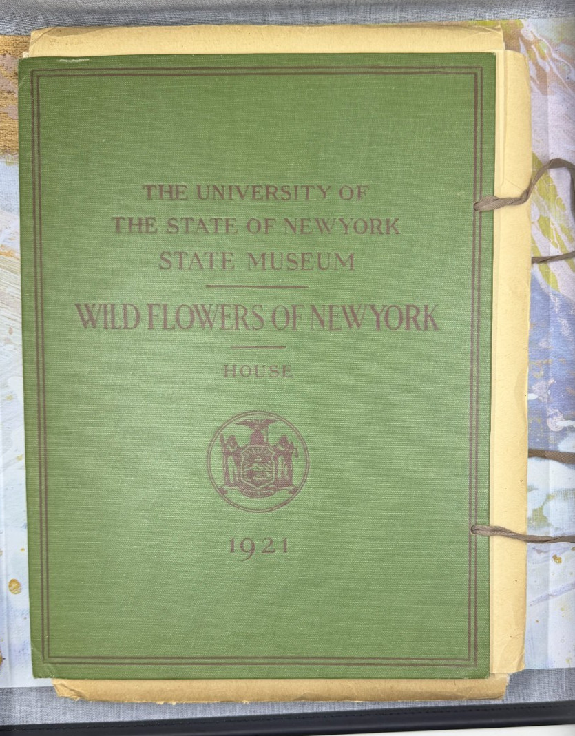 University of the State of NY State Museum Wild Flowers of New York 1921