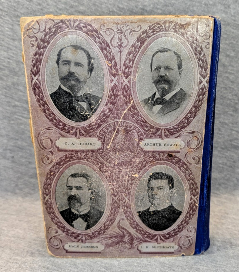 1896 The Great Campaign Political Srtuggles Voter Guide Presidential Election