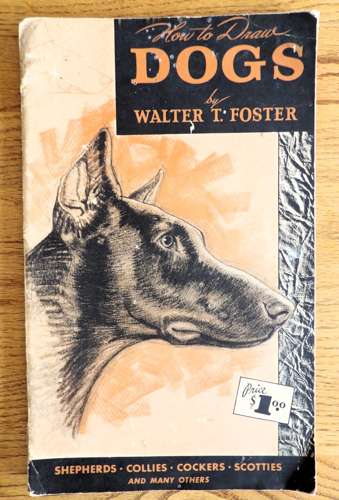 How to Draw DOGS by Walter T Foster She;pherds Collies Cokers Scotties SC