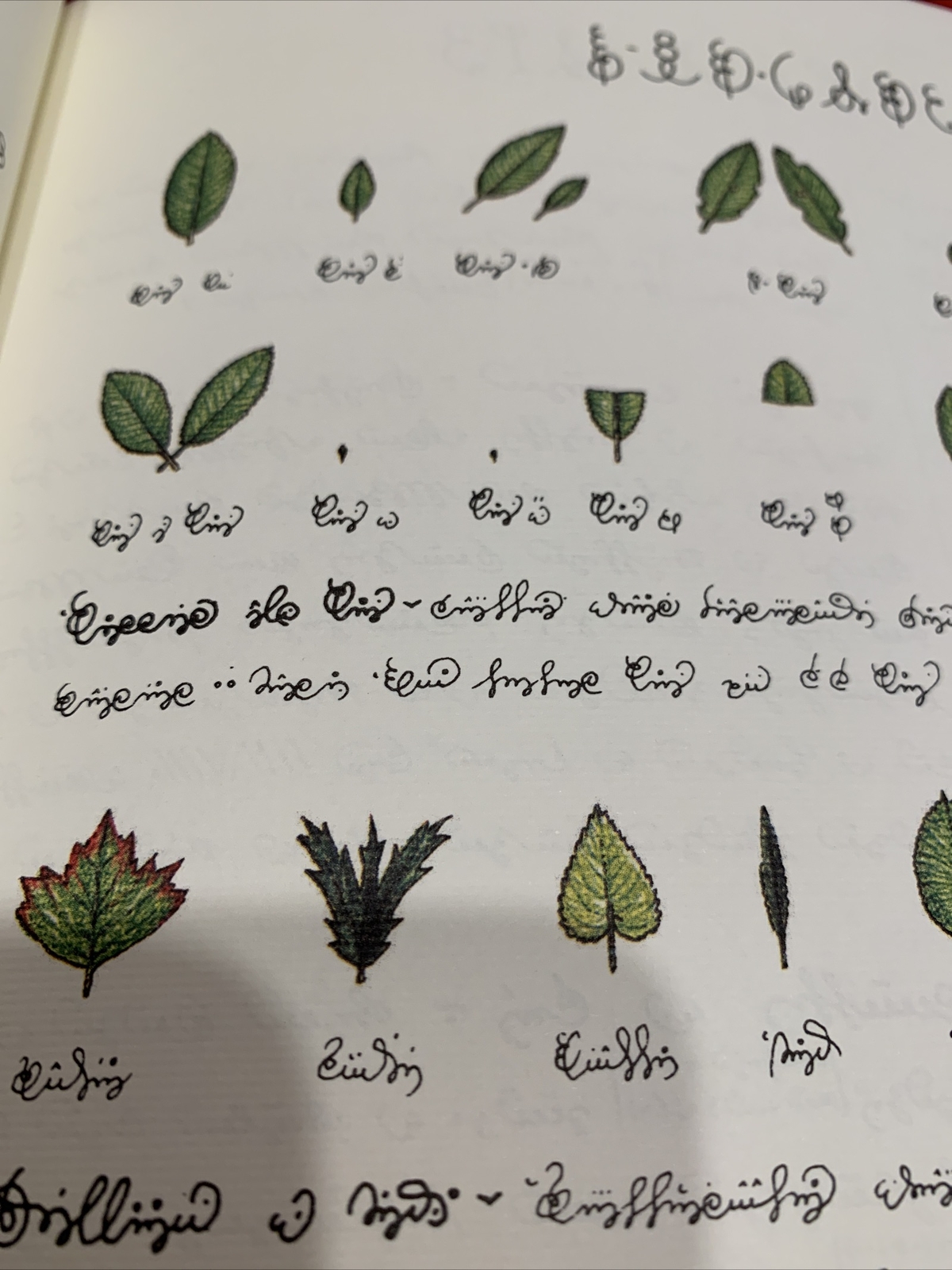 Codex Seraphinianus By Luigi Serafini Number 29 Framable Print Lithograph