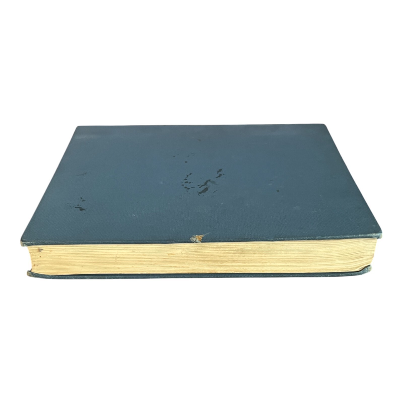 Modern Needlecraft A Practical Guide Hardcover Book Editor By Davide C. Minter