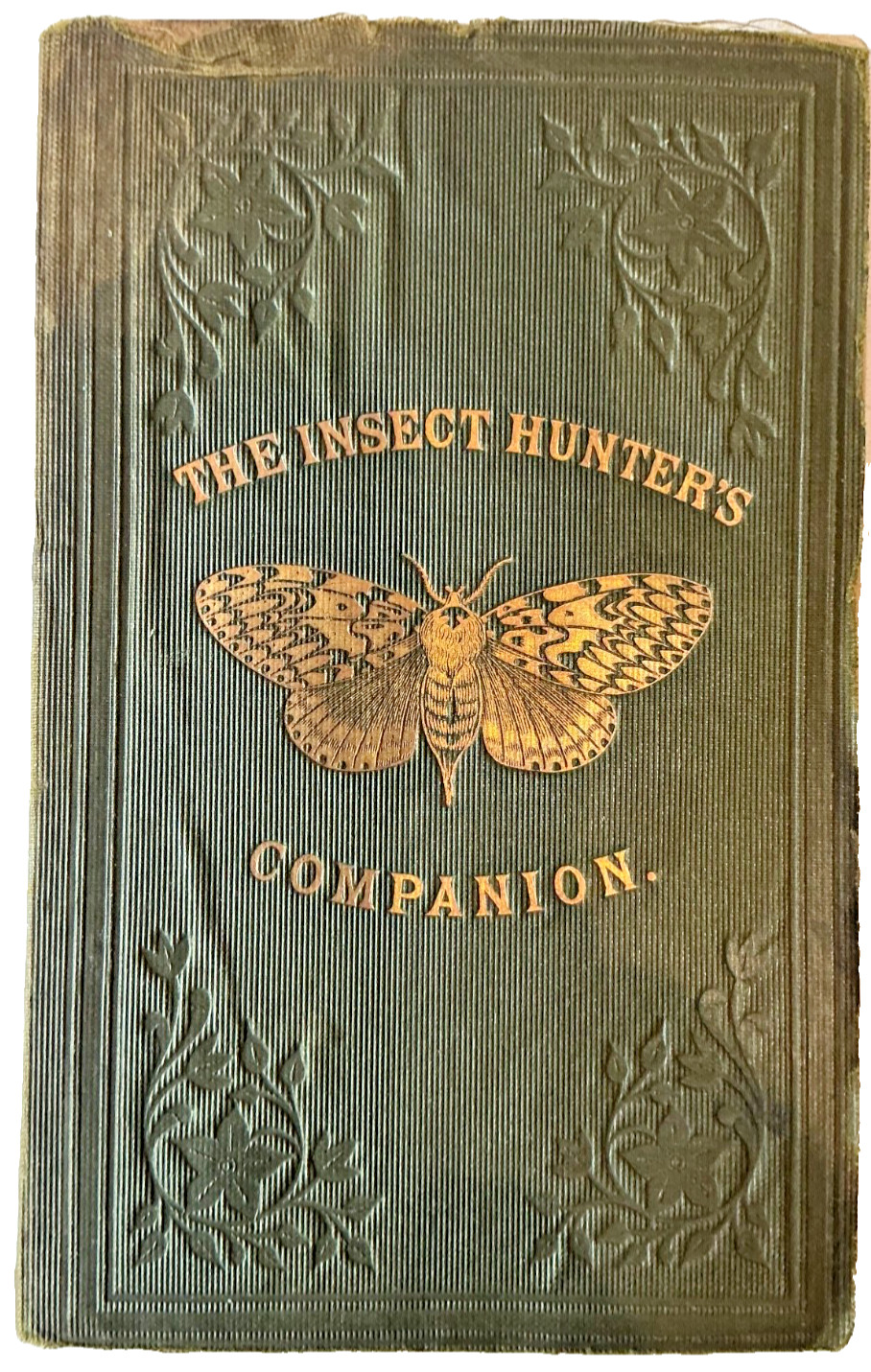 The Insect Hunters Companion 1863 Butterflies & Moths Rev. Joseph Greene Scarce