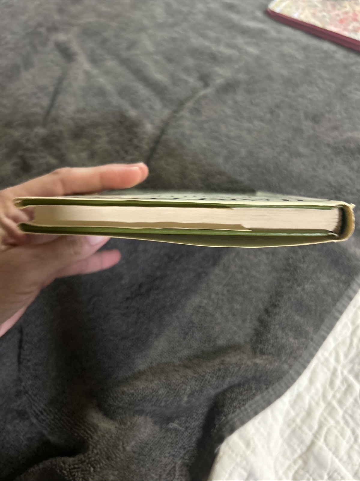 Stuart Little by E.B. White – 1945 1st Print HC Rare Book Club Edition