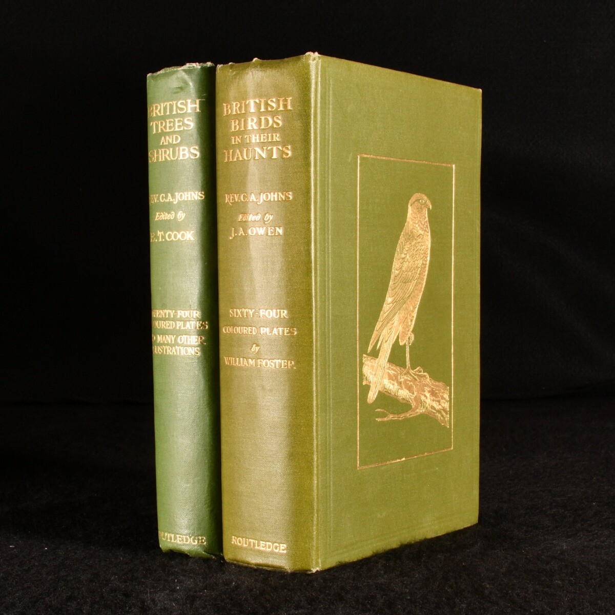 1911-35 Two Books by C. A. Johns Colour Plates