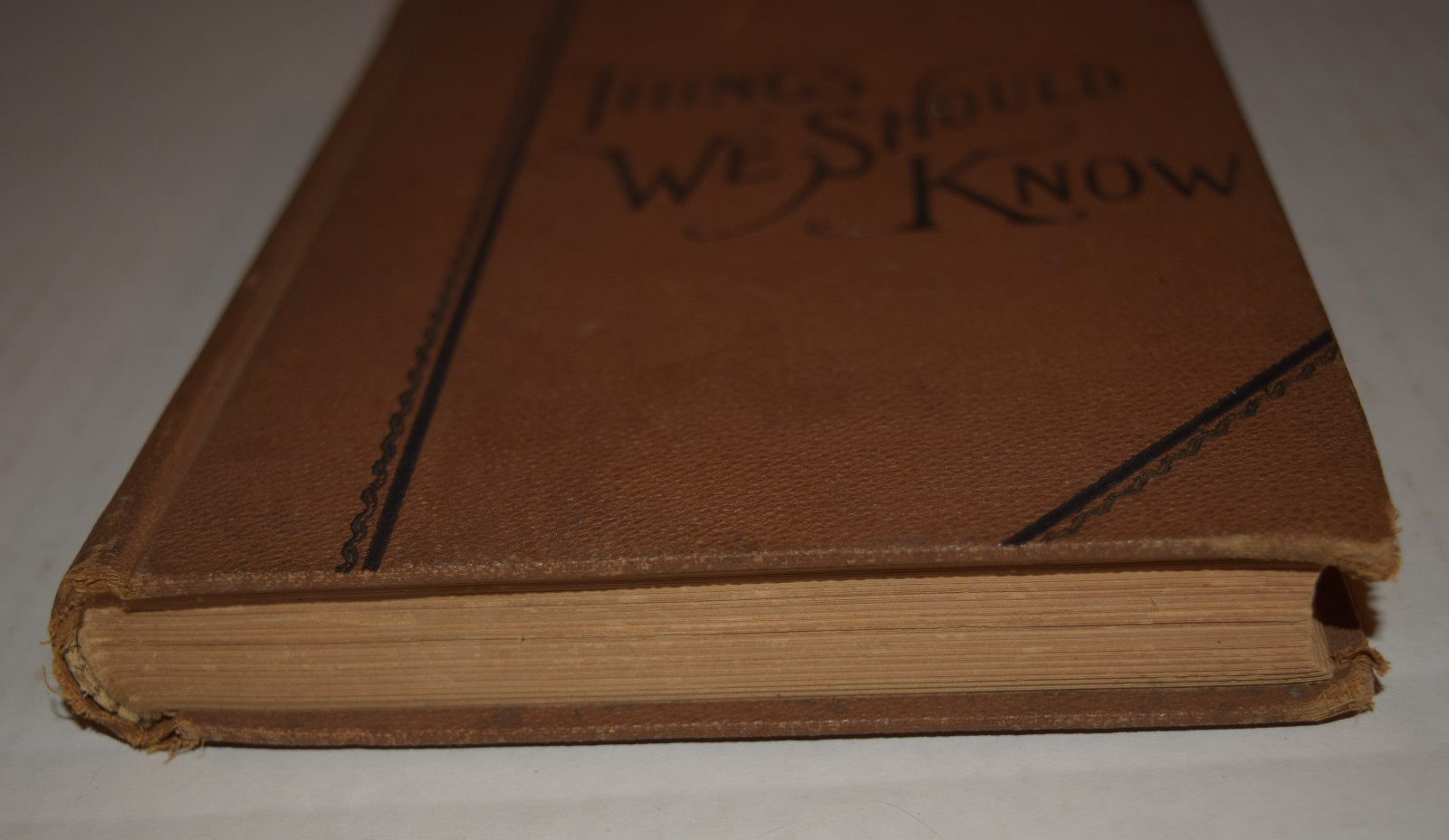 Things We Should Know – Frank Gilbert 1893! HC illustrated