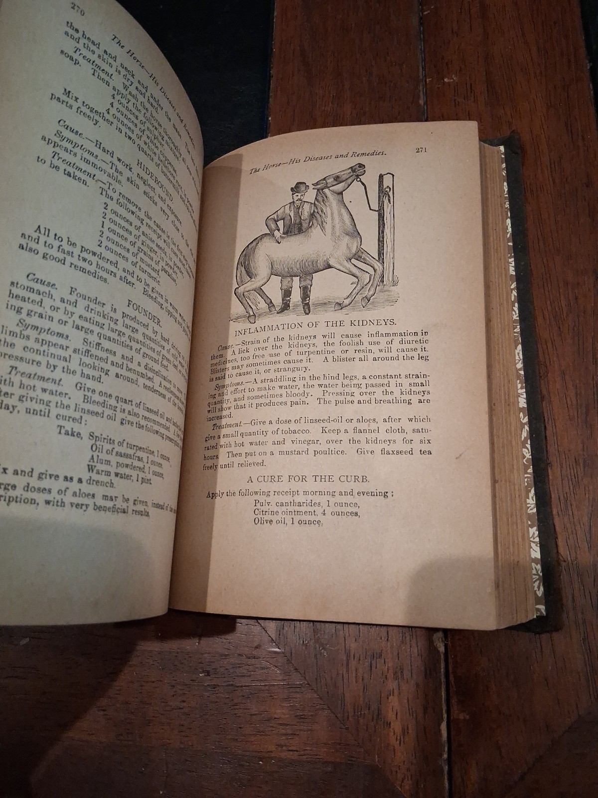 RARE Home Remedies for Man and Beast Jefferis & Davis 1893 Household Guide